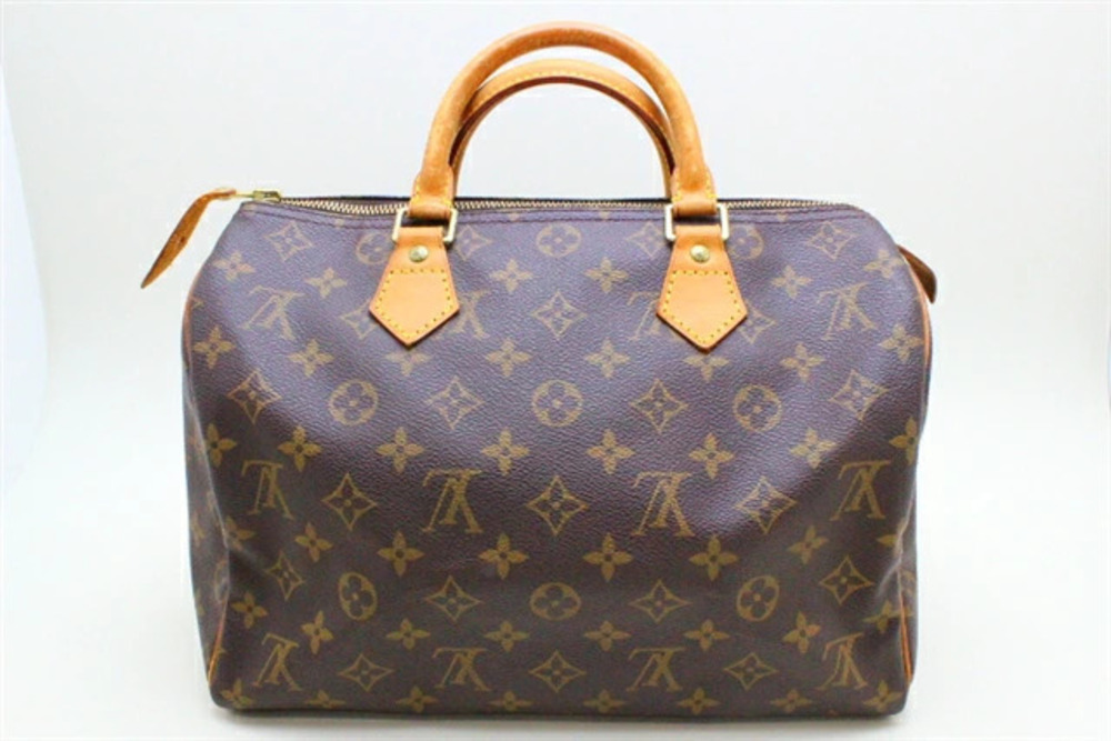 LOUIS VUITTON Speedy Handbag Monogram